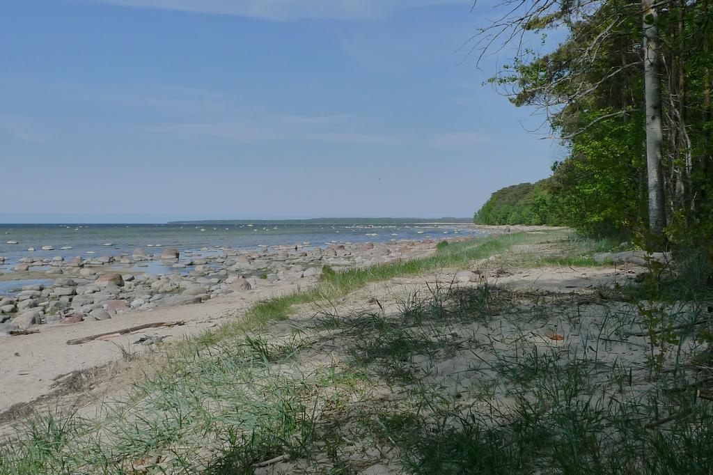 Turisalu Puhkebaas Hotell Exteriör bild